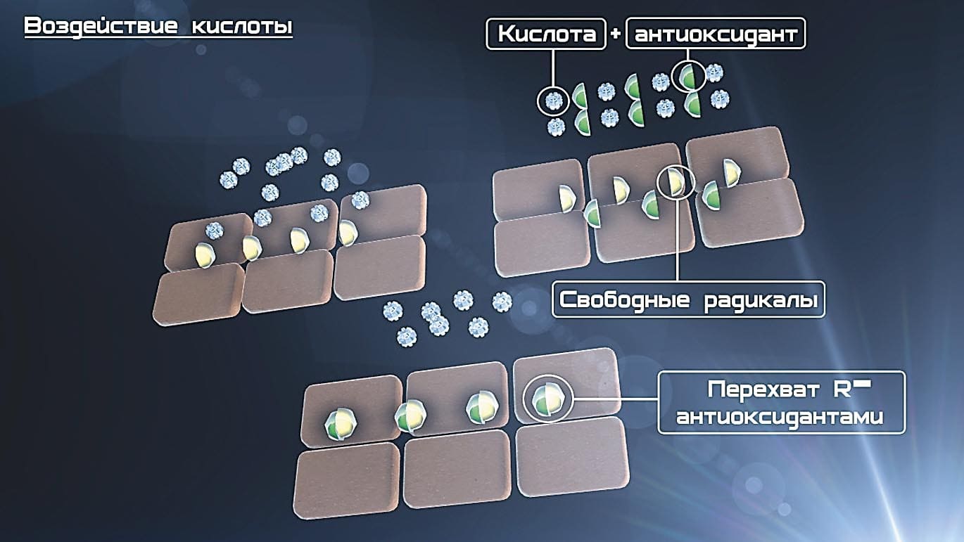 antioksidant